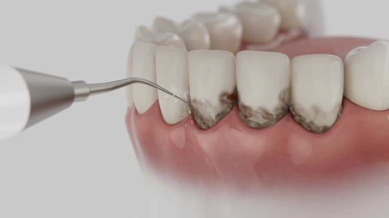 Reliable Dental contractor in Essexville, MI by Dentist Open Now
